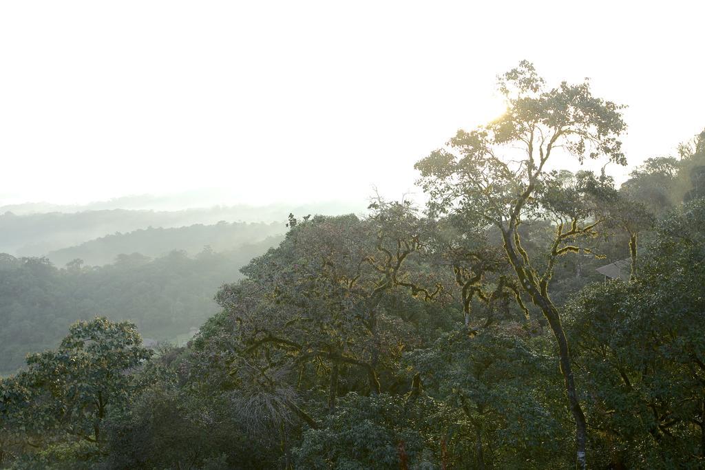 Taj Madikeri Resort & Spa Coorg Dış mekan fotoğraf
